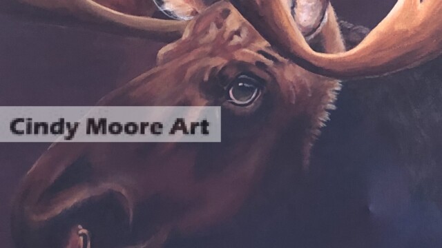 Jared's Moose