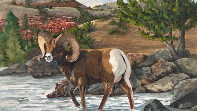 Spring Thaw