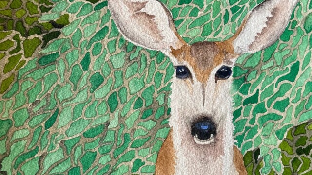 Loretta's Deer